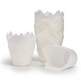 Tulip Papers