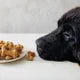 Dog Bone Mix and Pan Set