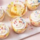 Confetti Cake & Cupcake Mix